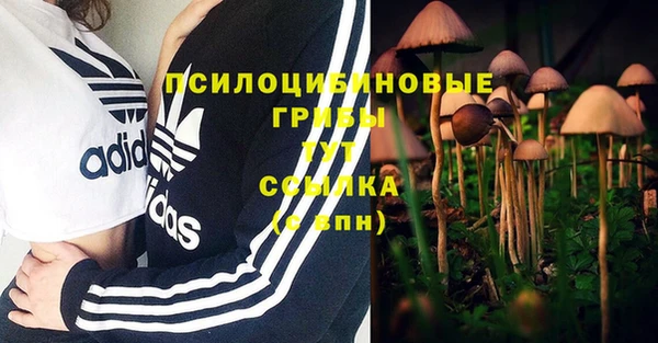 2c-b Гусь-Хрустальный