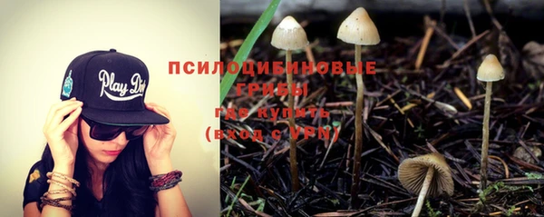 прущий лед Гусев
